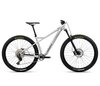 Orbea LAUFEY H30 M Aluminium Raw (Gloss)